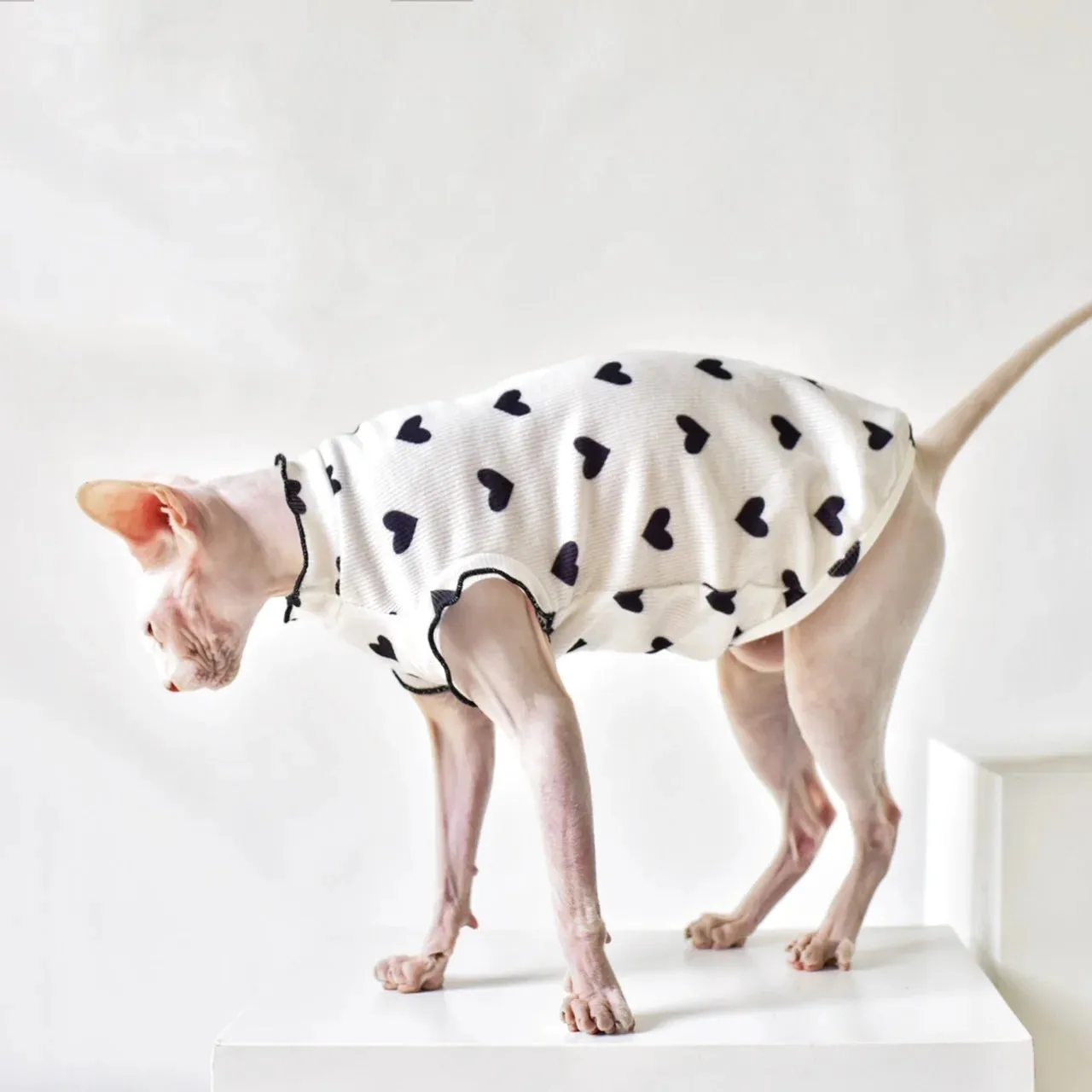 Pure Desire Wind Cat Clothes