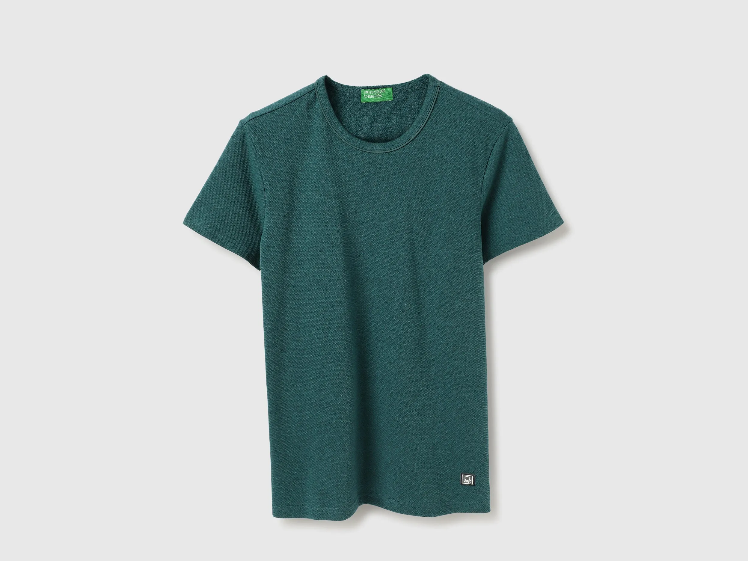 Regular Fit Crew Neck Solid T-Shirt
